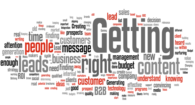 B2B Marketing Micro-Survey Wordle