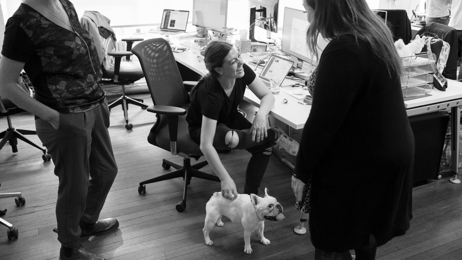 Smiling woman in an office petting small dog