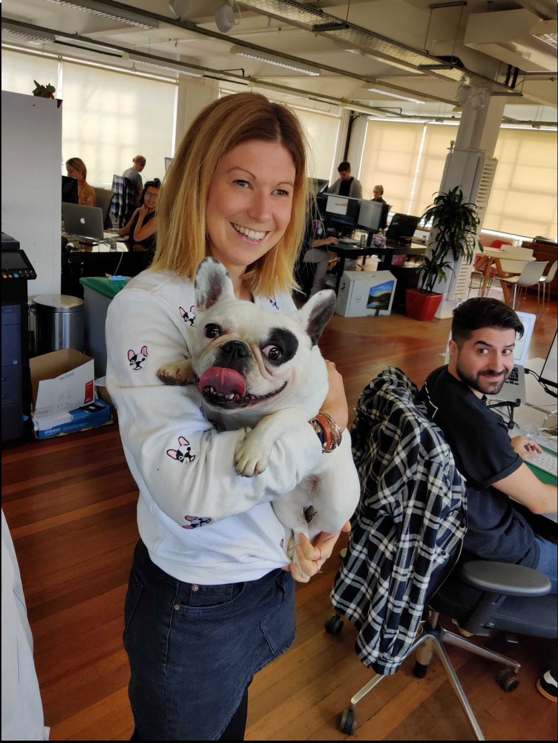 Woman in an office holding a small dog